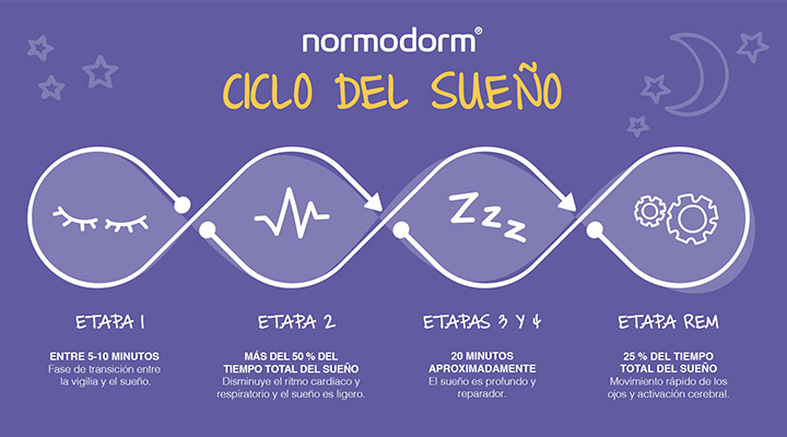 Infografía ciclos del sueño
